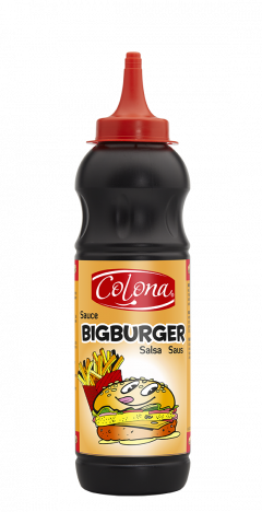 Sauce bigburger colona 10g le lot de 50